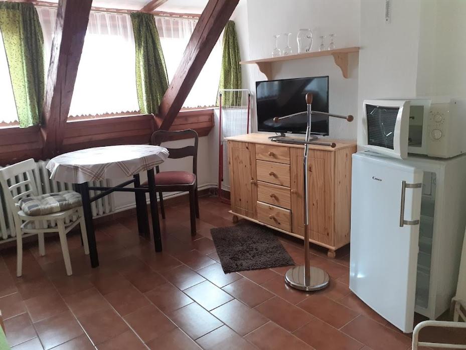 Kuchyň nebo kuchyňský kout v ubytování Penzion Na Zámostí Malenice