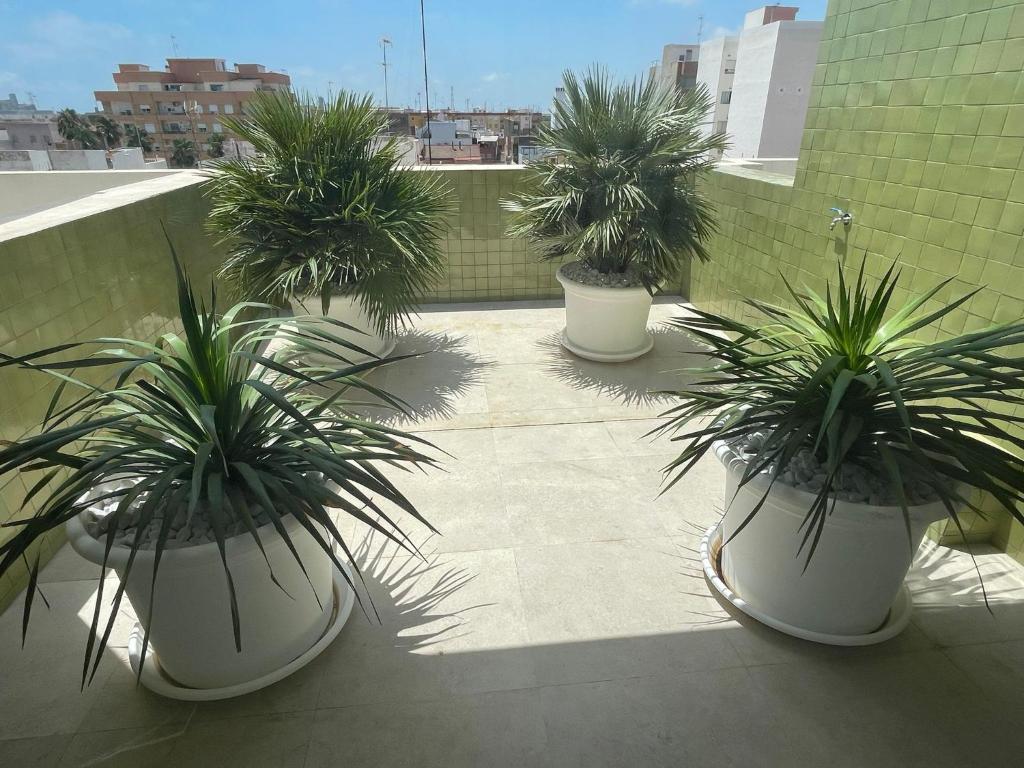 Fotografie z fotogalerie ubytování Teide Rooms v destinaci Puerto de Sagunto