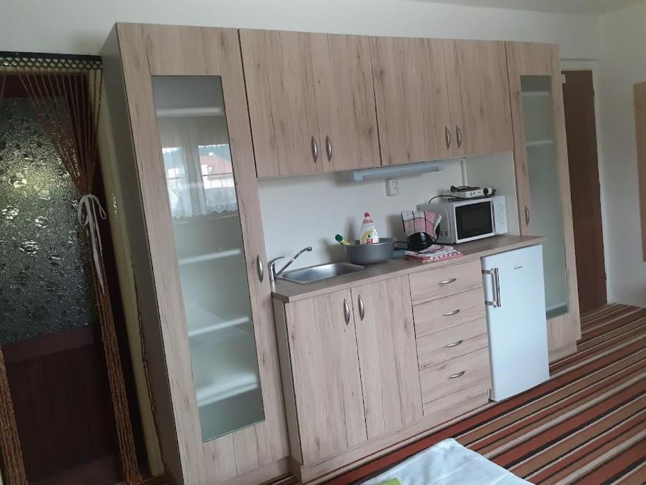 Kuchyň nebo kuchyňský kout v ubytování Penzion Na Zámostí Malenice