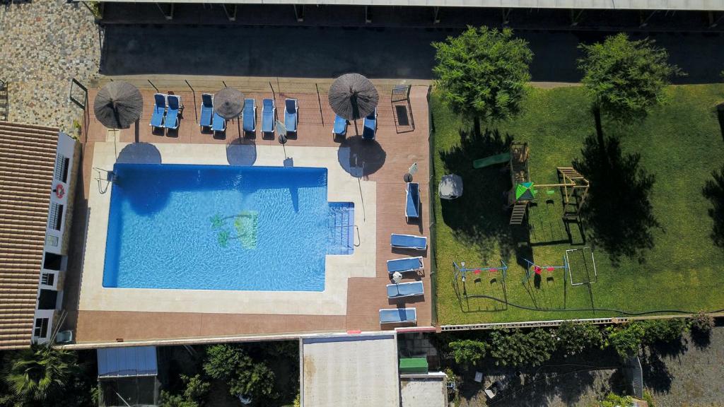 una vista aérea de una piscina con sillas y un patio en Apartamentos El Palmeral, en Conil de la Frontera