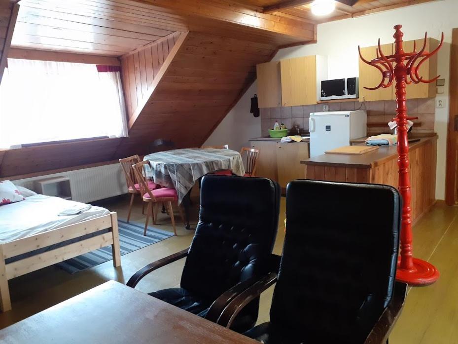 Kuchyň nebo kuchyňský kout v ubytování Penzion Na Zámostí Malenice