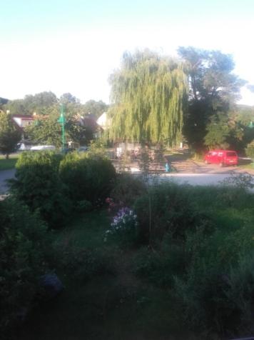Zahrada ubytování Penzion Na Zámostí Malenice
