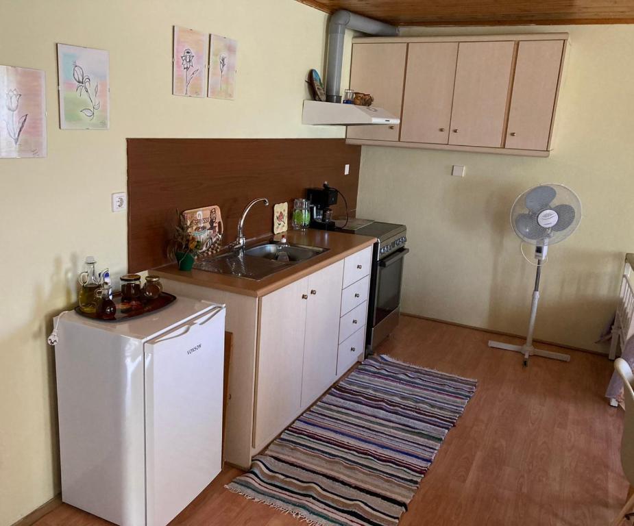 a small kitchen with a sink and a refrigerator at North Evia Evanthia Greece in Kourkouloí