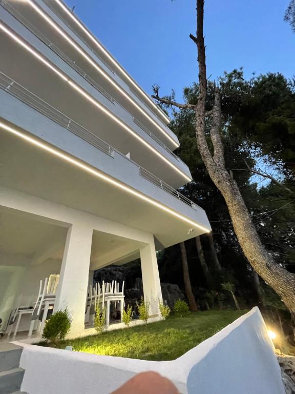Zahrada ubytování Hotel Mane