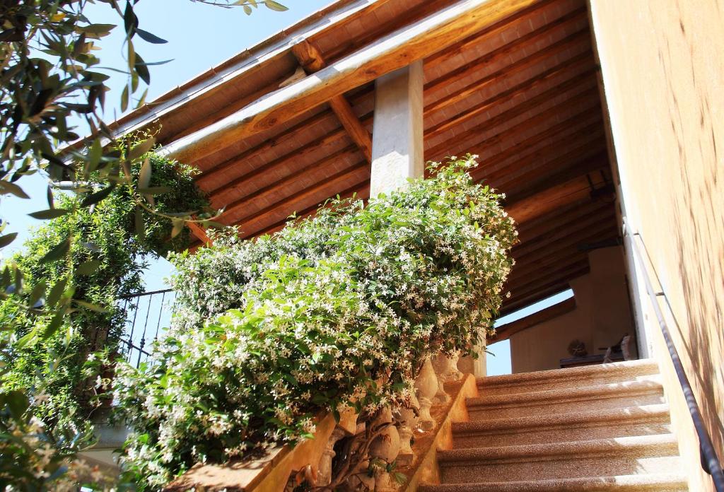 Fotografie z fotogalerie ubytování Agriturismo Montefabbrello v destinaci Magazzini