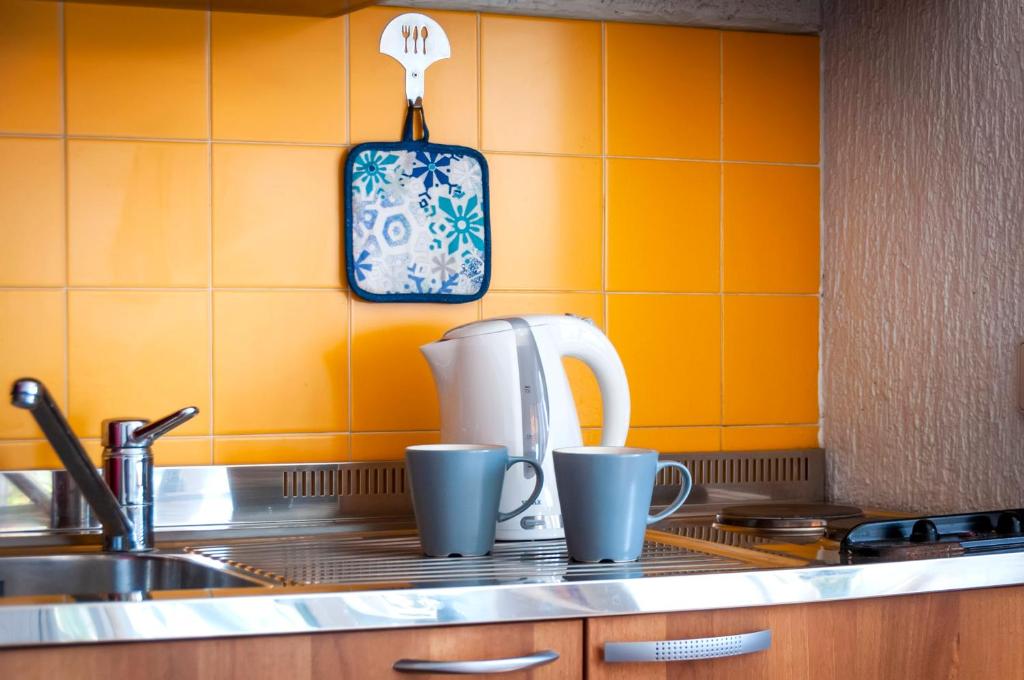 Kuchyň nebo kuchyňský kout v ubytování Guesthouse Ava