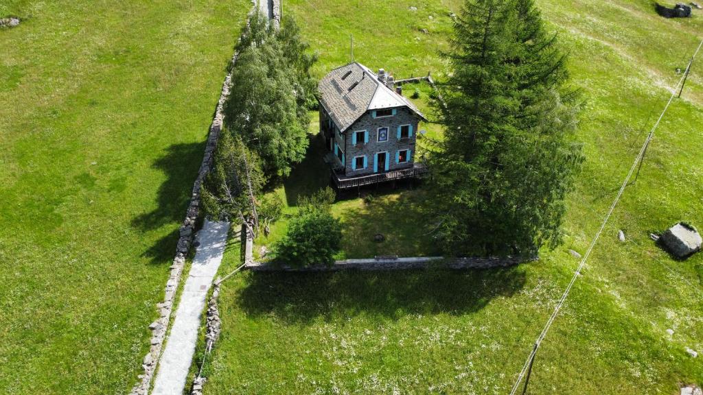 z góry widok na dom na polu z drzewami w obiekcie Il Cortese w mieście Chiareggio
