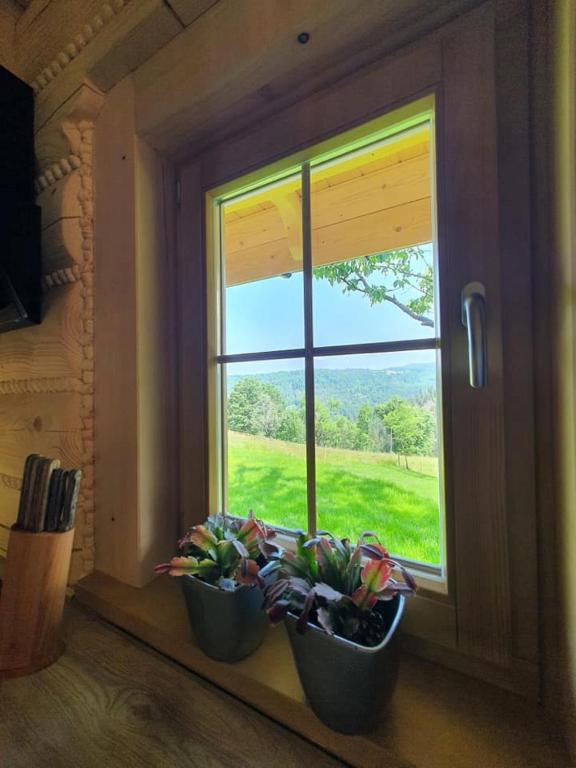 Zahrada ubytování Dom pod Baranią - Wisła - sauna, jacuzzi, tężnia & widok na góry