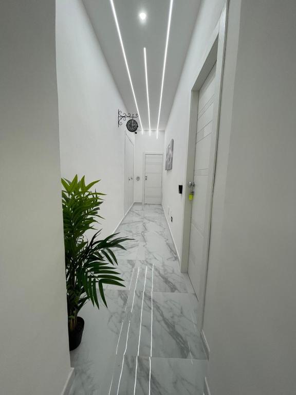 Fotografia z galérie ubytovania LudBen House v Neapole
