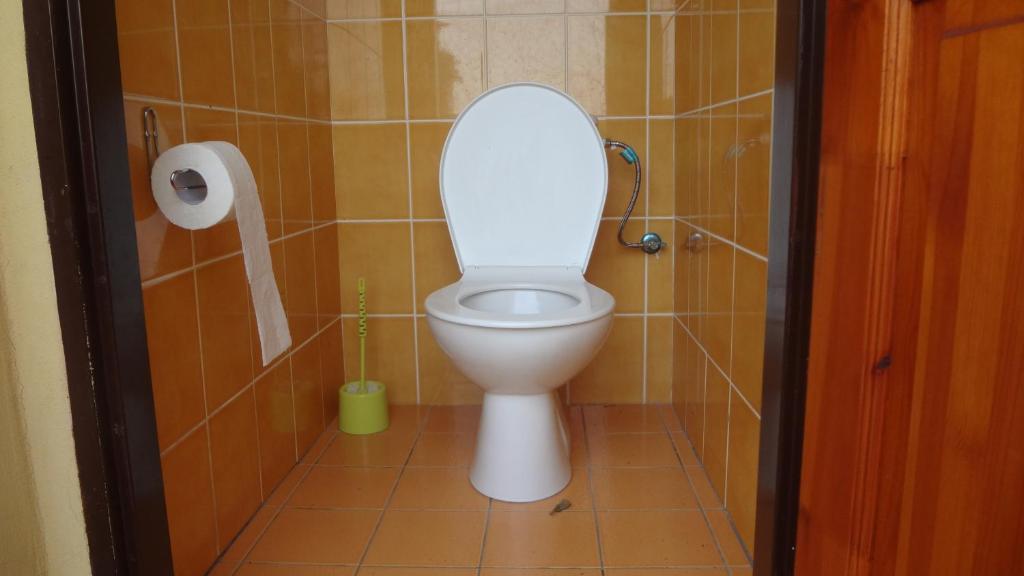 Koupelna v ubytování Chaty u rybníka Brodský