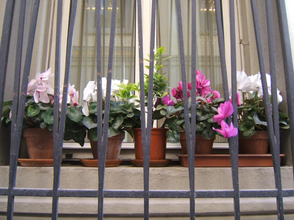 Hotel Nuova Italia - Resim 34