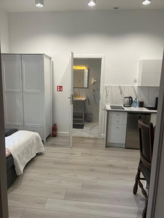 Kuchyňa alebo kuchynka v ubytovaní Apartamenty u Ewy - EUROS