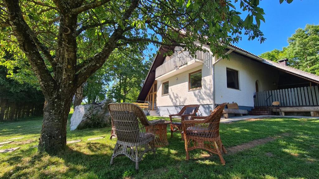 a group of chairs sitting around a table under a tree at Forestside House Private Sauna & Relax Lounge in Sinac