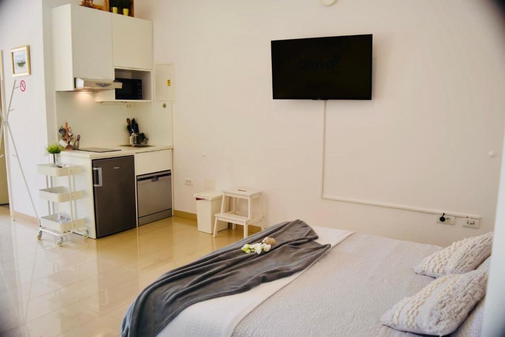 Kuchyň nebo kuchyňský kout v ubytování Studio apartment Stazion with free parking