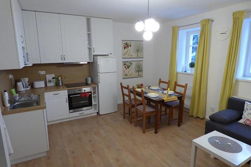 Kuchyň nebo kuchyňský kout v ubytování Apartmán v Bételu