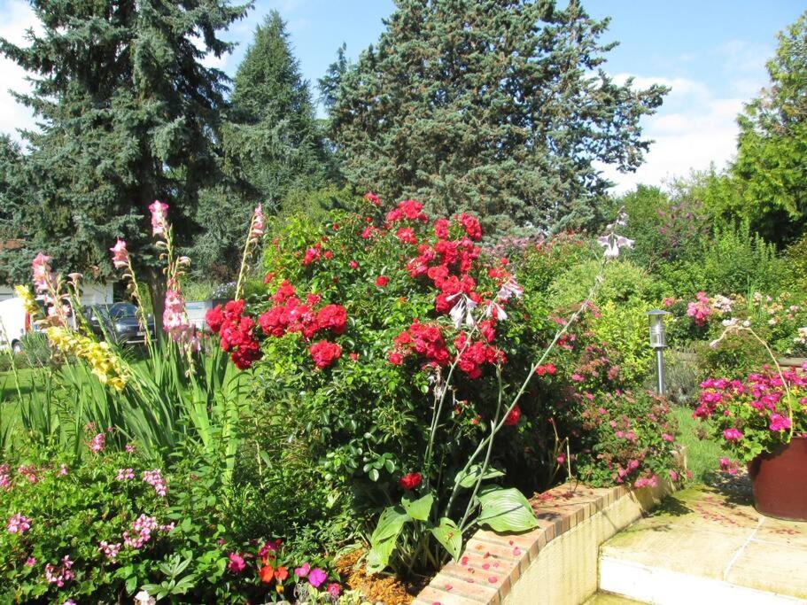 Vonkajšia záhrada v ubytovaní Gîte les Noisetiers Maison familiale avec piscine