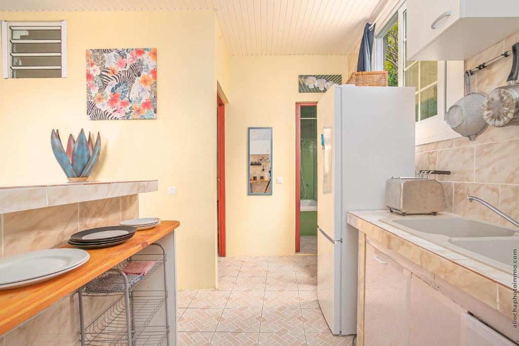 una cucina con bancone e frigorifero di Appartement La Source -Calme avec belle vue mer a Les Trois-Îlets