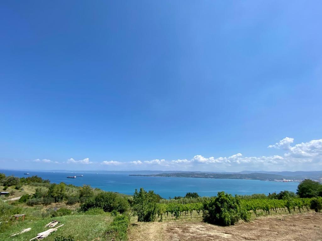 een uitzicht op een meer vanaf een heuvel met bomen bij Vila Loralina - Izola - direct Sea view in Izola