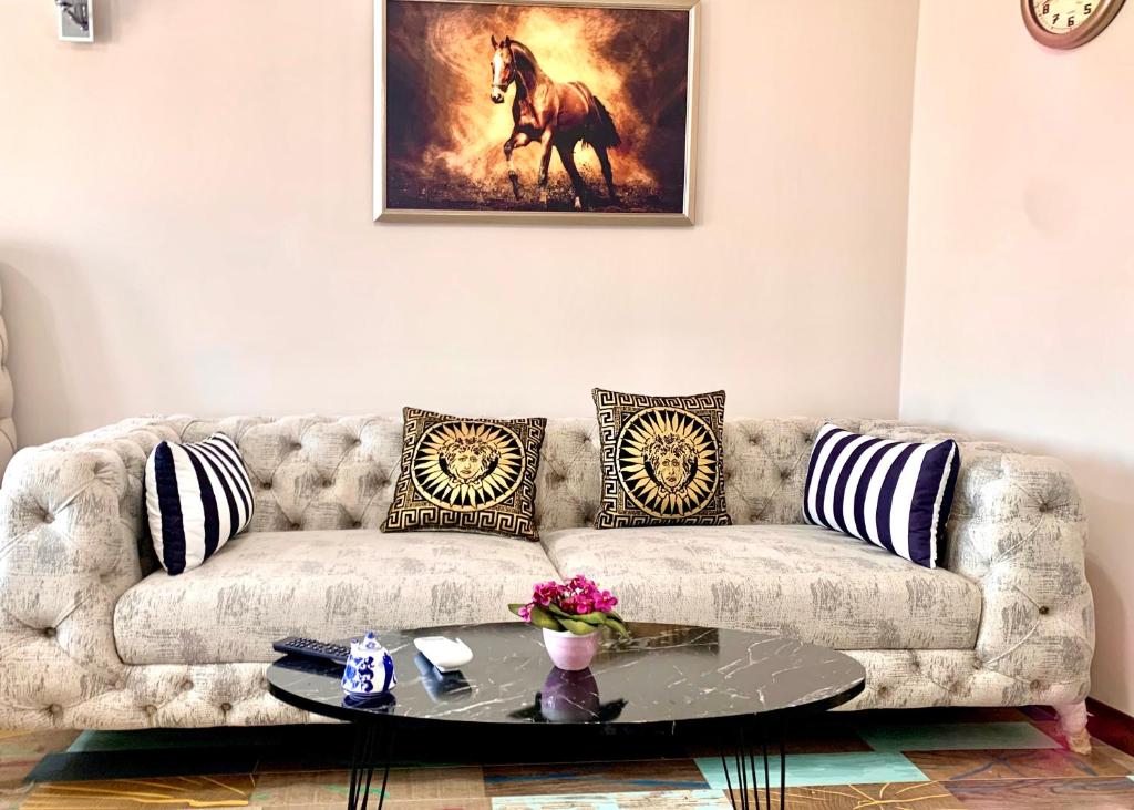 JAZZY ELEGANT HOMES 100 Mb Wi-Fi