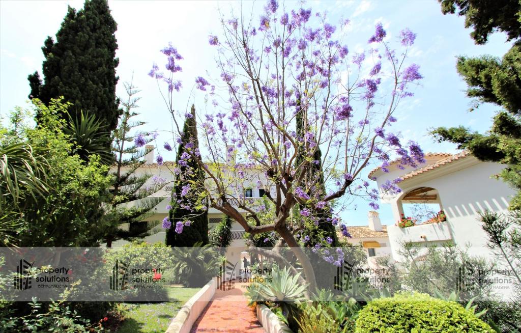 Zahrada ubytování Pueblo Del Parque 2 - Soleada terraza con jardín - Piscina y Playa