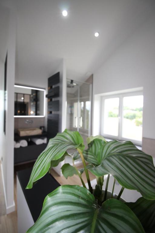 Le grain de Louise - Chambre Double De Luxe Avec Vue Sur Château
