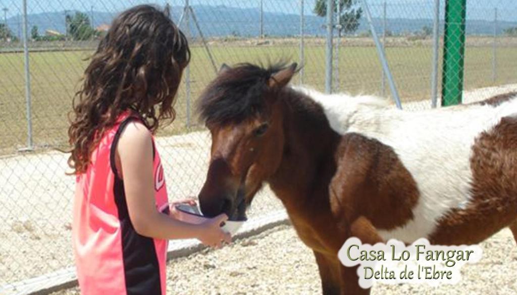 Fotografie z fotogalerie ubytování Casa Lo Fangar - Delta de l'Ebre C3 v destinaci Deltebre