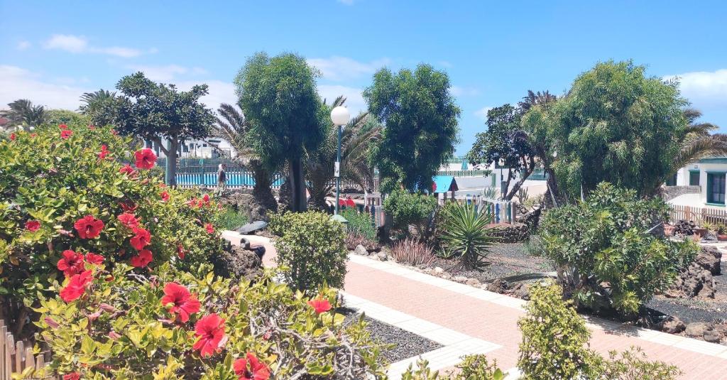 Fotografia z galérie ubytovania CASA ALICE COCOSOL v destinácii Costa de Antigua