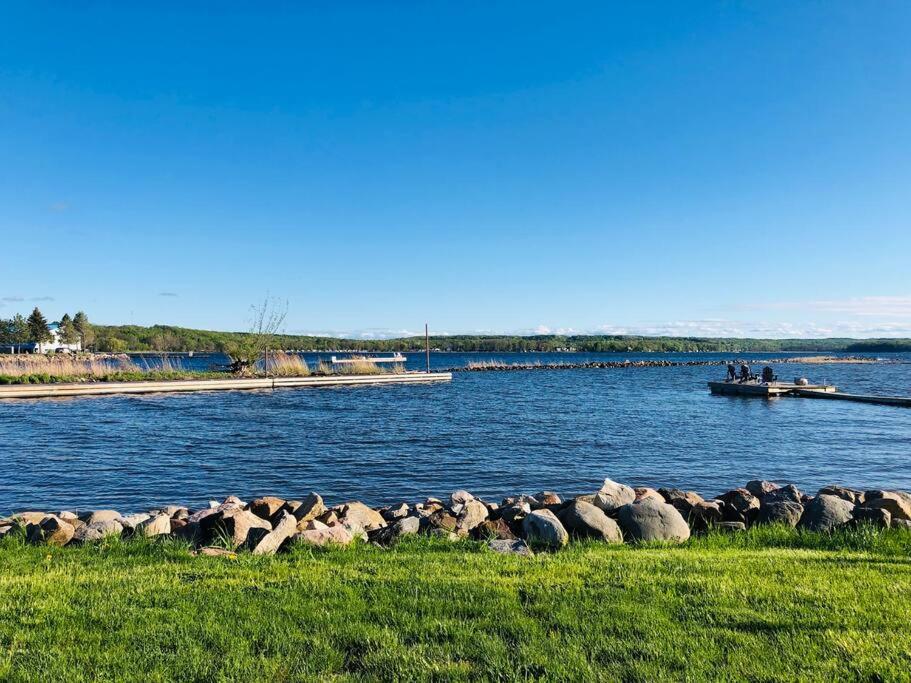 a herd of sheep standing in the grass near the water at Peaceful Waterfront Cottage on Georgian Bay in Victoria Harbour