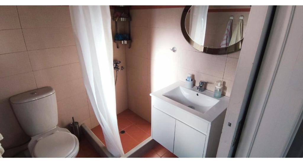 a small bathroom with a toilet and a sink at Artemis House in Krokeaí