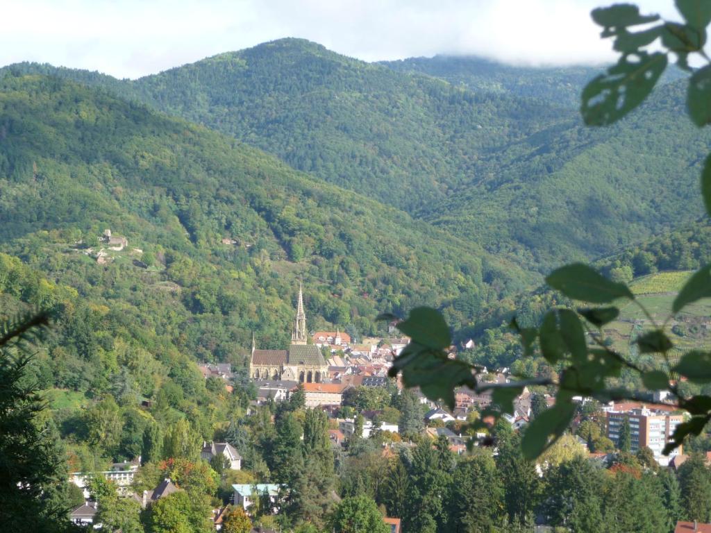 Příroda nedaleko apartmánu