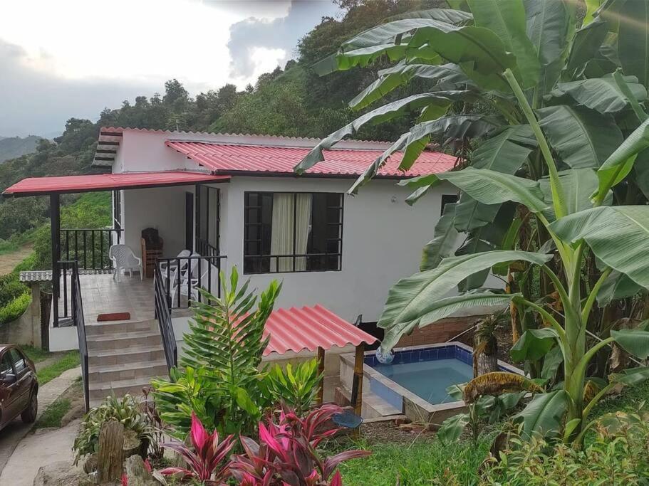 a house with a plunge pool in front of it at CASALOMA in La Vega