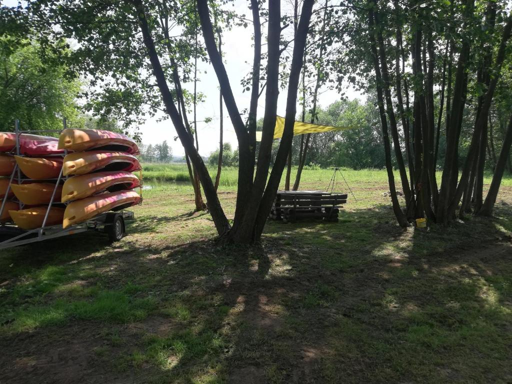 Ogród w obiekcie Agroturystyka domki nad rzeką Bałtów kajaki rowery klima basen ryby full