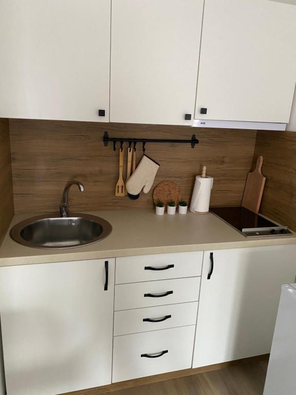 Kuchyň nebo kuchyňský kout v ubytování Apartmani Lazarevic Jagodina
