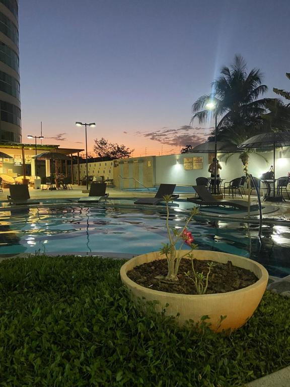 a large swimming pool with a plant in a pot at Apartamento no Fiori Prime in Caldas Novas