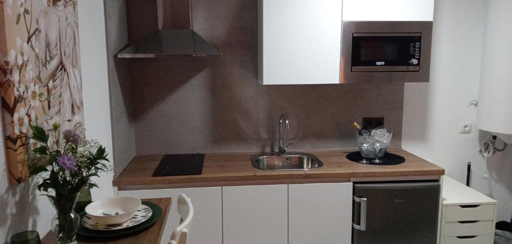 Kuchnia lub aneks kuchenny w obiekcie ESTUDIO Jacuzzi SOL De JEREZ