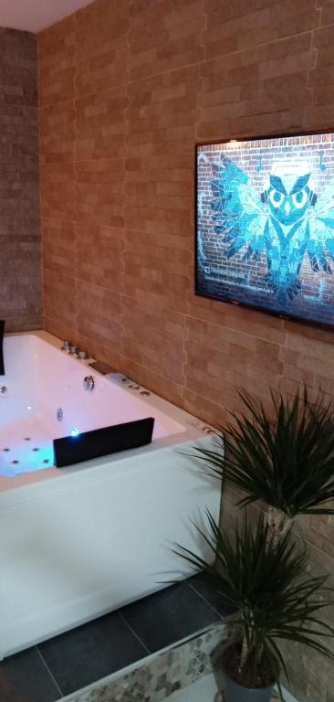 wanna w pokoju z telewizorem na ścianie w obiekcie ESTUDIO Jacuzzi SOL De JEREZ w mieście Jerez de la Frontera