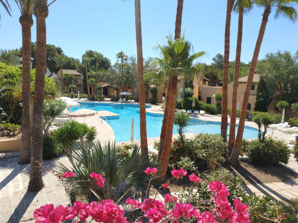 una piscina resort con palmeras y flores rosas en "PARAÍSO 14" Espectacular casa con terrazas, piscina y vistas al mar, en Son Xoriguer