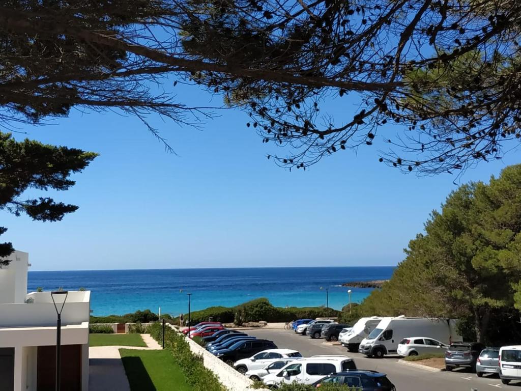 PARAÍSO 14