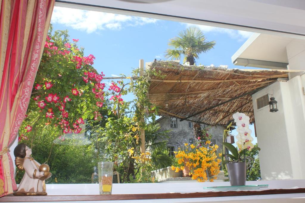 Zahrada ubytování Hotel Annabell
