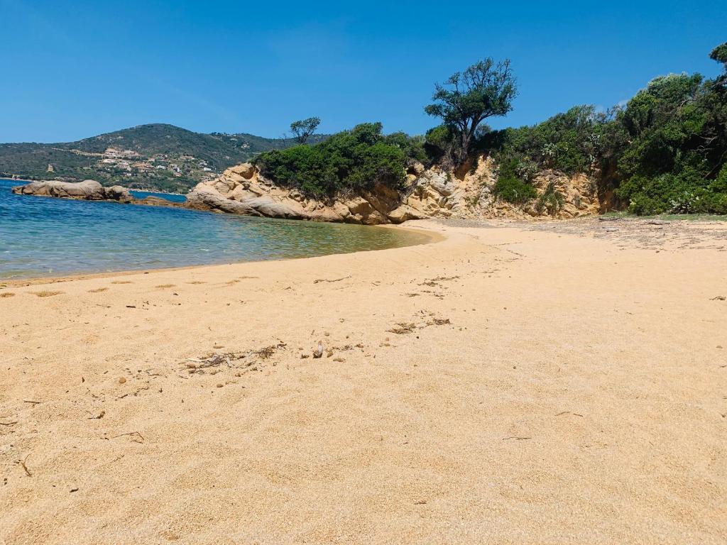 a sandy beach with footprints in the sand at U Mo Sognu in Murzo