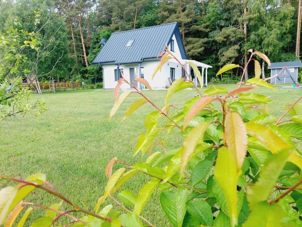 una pequeña casa blanca en un campo con un patio en JESZCZE BARDZIEJ DZIKI SAD, en Słajszewo