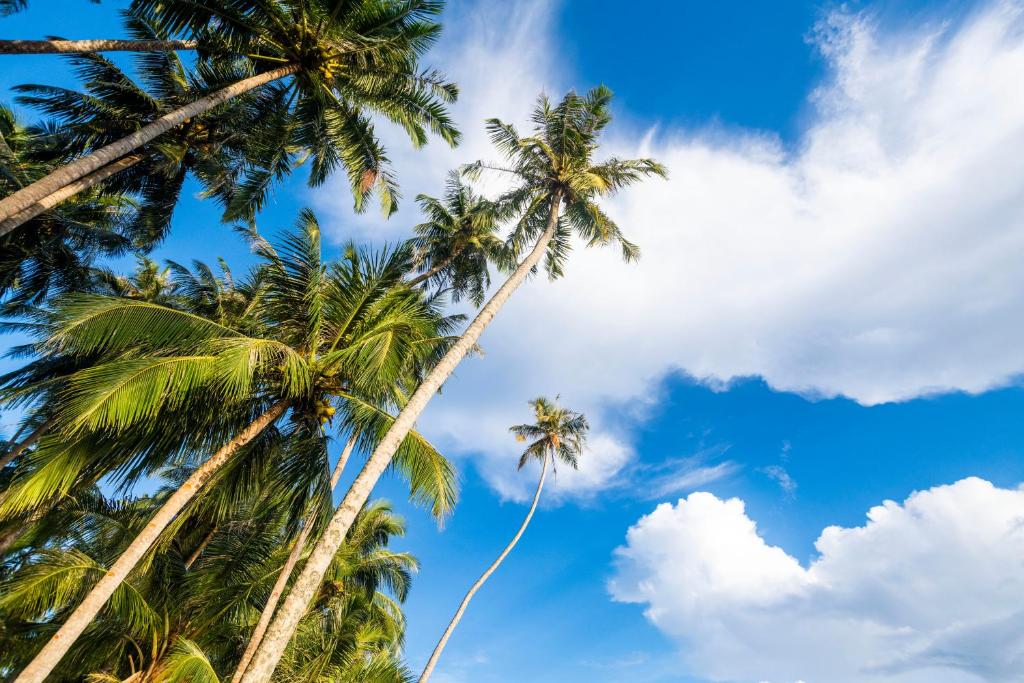 Fotografie z fotogalerie ubytování Tailana Island Pulau Banyak v destinaci Alaban