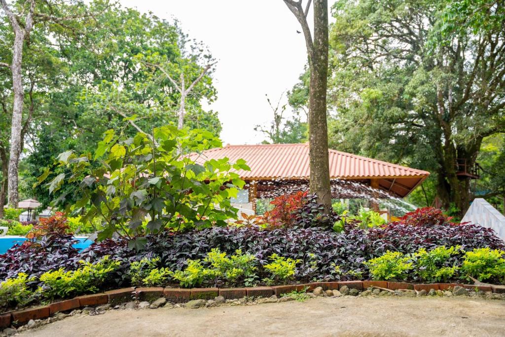 Zahrada ubytování El Valle Resort & Spa - Aguas Termales