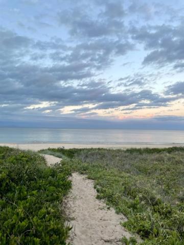 a dirt road leading to the ocean on a beach at Chill @ The Rocks in South West Rocks