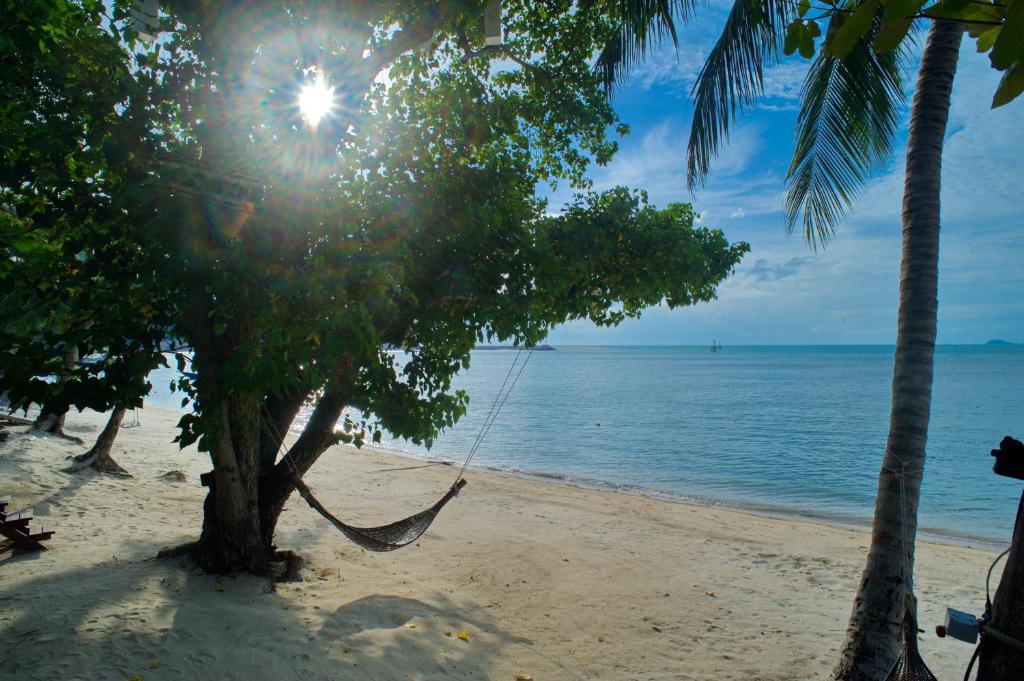 a hammock hanging from two palm trees on a beach at At Samui Haus in Lipa Noi