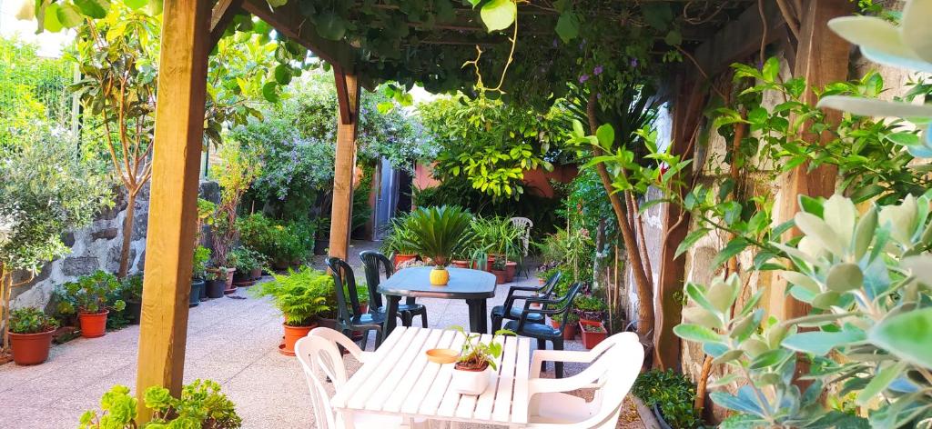 a patio with a table and chairs and plants at Metro Casa Música Apartments and Rooms in Porto