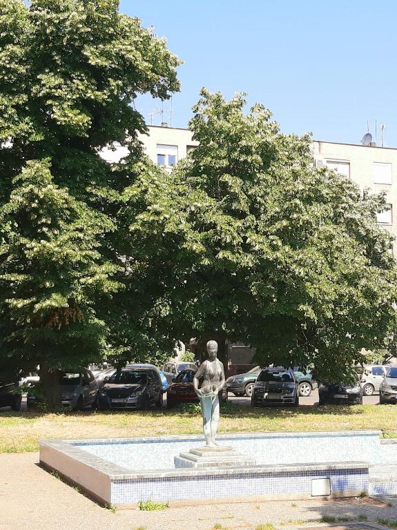 Fotografie z fotogalerie ubytování ADA, New Belgrade v destinaci Tošin Bunar