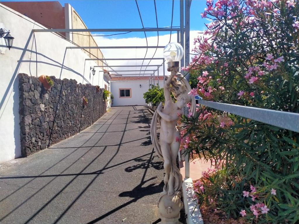 Finca Oasis Mango,Holiday home, Vivienda Vacacional, Candelaria Comunal Pool, Sea View from private terraces,3 mins to town by car, WiFi, Netflix,International TV