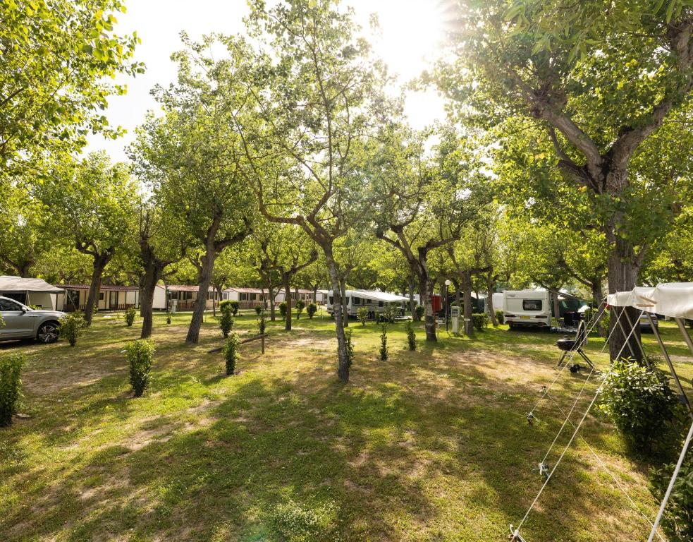 Zahrada ubytování Camping Classe Village
