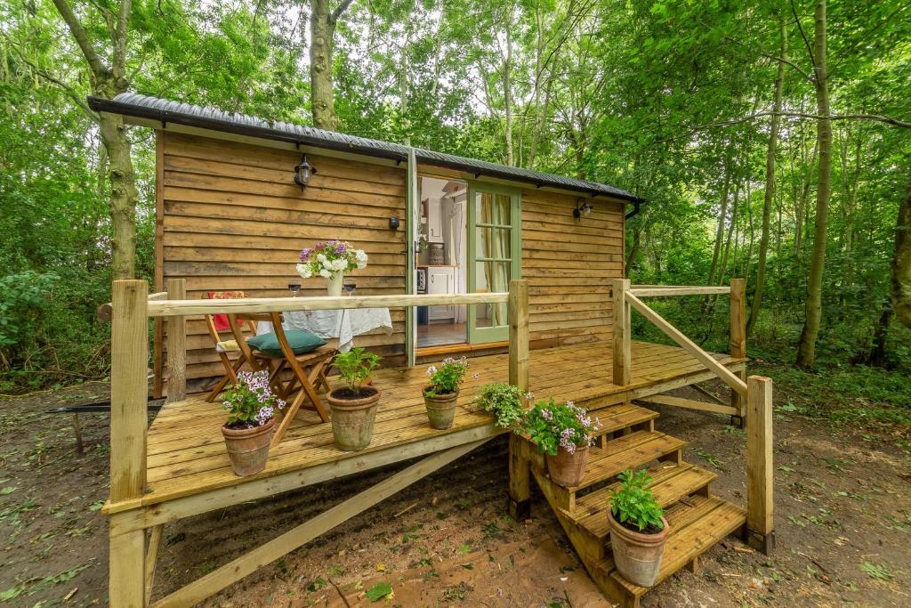 a tiny house in the woods with potted plants at Woodland Retreat Shepherd's Hut in Brundish